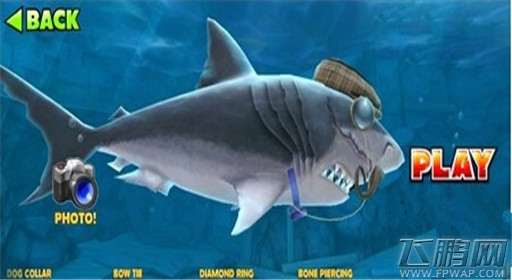 饥饿鲨进化绅士风装备介绍 (5) 饥饿鲨进化绅士风装备介绍 (5)