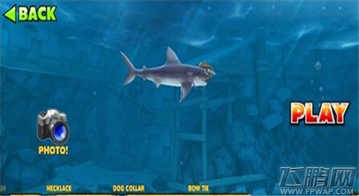 饥饿鲨进化绅士风装备介绍 (6) 饥饿鲨进化绅士风装备介绍 (6)