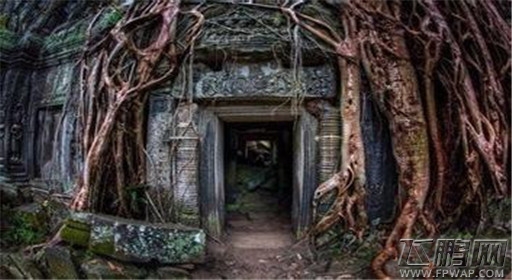 密室逃脱盗墓1第4关通关流程分享 (1)