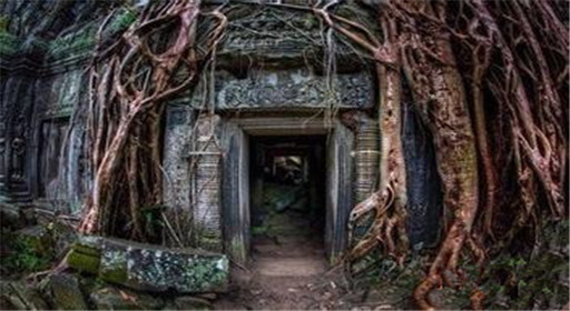 密室逃脱盗墓1第4关通关流程分享