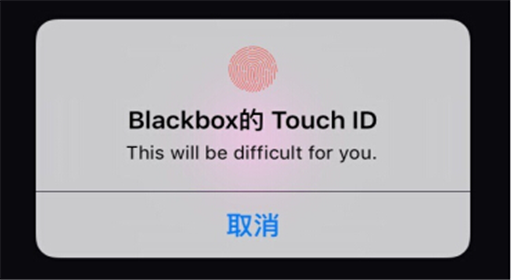 黑盒blackbox桃红色玩法攻略