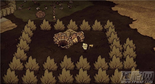 《饥荒》海难超简单防狗玩法分享 (2)