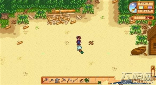 星露谷物语下水道在哪里 野山葵怎么获得 (2)