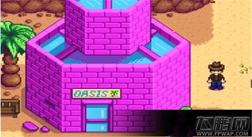 星露谷物语沙漠商店卖什么 沙漠商店物品解析 (1)