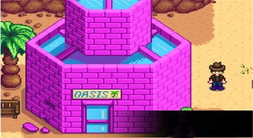 星露谷物语沙漠商店卖什么 沙漠商店物品解析