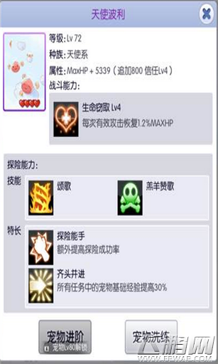 天天打波利选择什么宠物好 宠物培养解析 (1)