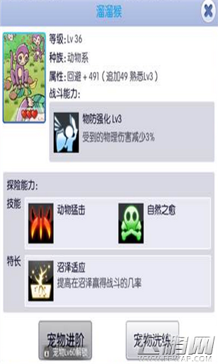 天天打波利选择什么宠物好 宠物培养解析 (3)