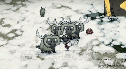 饥荒耗牛怎么迁移 牛迁移方法介绍 (2)