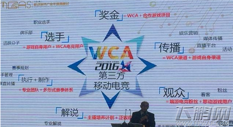 李燕飞 电竞已融入日常生活移动电竞将迎来蓝海 (3)