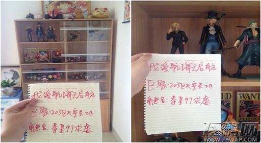 晒出你的“海贼王”！《航海王 启航》玩家惊爆OP收藏品 (2)