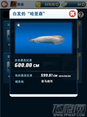 钓鱼发烧友那些坚持的手动玩家 高玩心得
