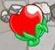 大果实