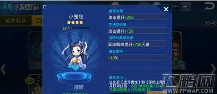 天天炫斗明星宠小笼包怎么样 新增明星宠小笼包好不好 (1)