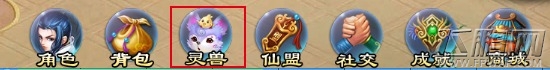  (3)