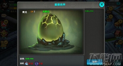 太极熊猫星兽在哪里孵化 星兽孵化所需材料表介绍 (2)