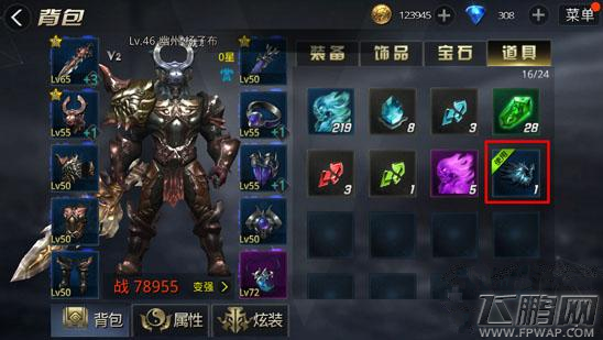 九龙战翅膀怎么不能显示 正确穿戴翅膀指南 (1)