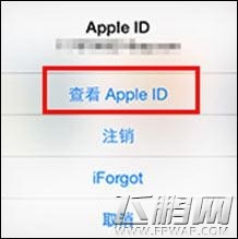 少年三国志IOS/安卓充值图文教程 新手必看的充值指引 (12)