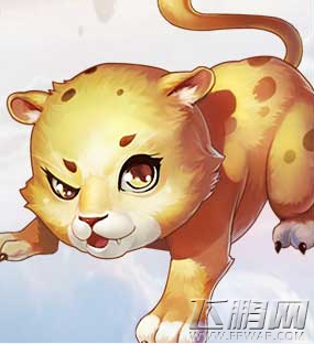大话西游手游小豹子厉害吗 小豹子技能属性介绍 (1)