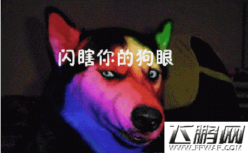 黑夜传说金装系统解说 闪瞎你钛合金双眼  (1)