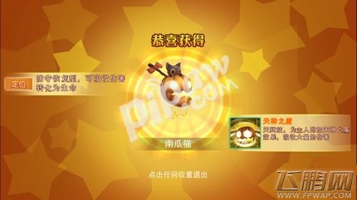破晓之光南瓜猫好不好 南瓜猫属性介绍 (1)