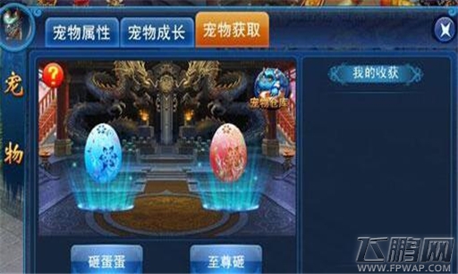  (2)