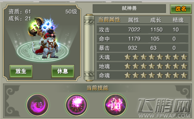 灵域戮仙宠物怎么升级 宠物快速升级指南 (1)