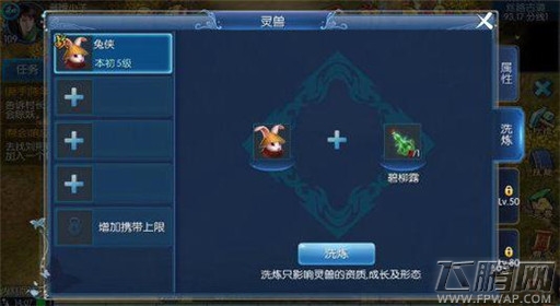 倩女幽魂手游灵兽悟性解析 (2)