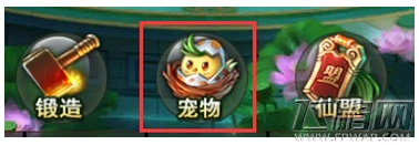 灵域戮仙坐骑怎么进阶 坐骑进阶技巧推荐 (3)