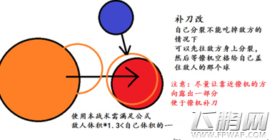 全民星球高玩合作攻略大全 配合吃球稳定成长全指南 (11)