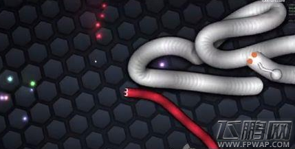 蛇蛇大作战怎么加速 Slither.io加速方法介绍 (1)