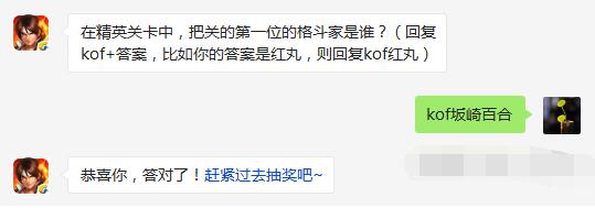 拳皇98终极之战ol在精英关卡中把关的第一位的格斗家是谁 (1)