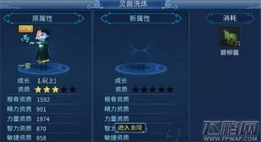倩女幽魂手游小粽子获得方法 (1)