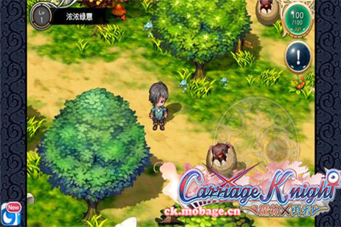 魔物勇者启示录：不是所有RPG都叫本格 (2)