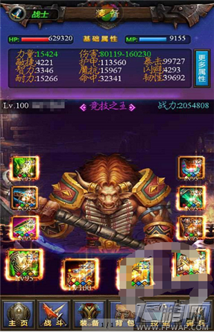 天天挂机 战士毕业之路 (2)