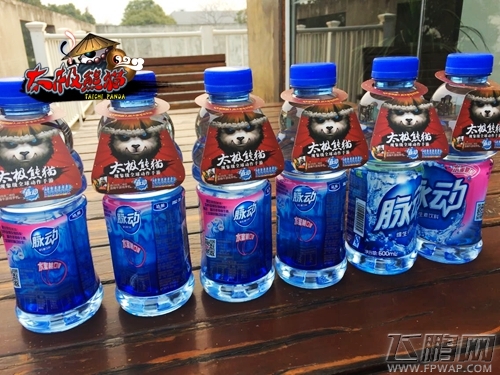 太极熊猫新春激爽再续欢乐随时脉动回来 (2)