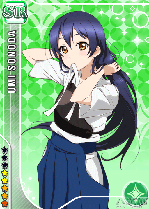 LoveLive!学园偶像祭新活动 海爷武将装逆袭 (2)