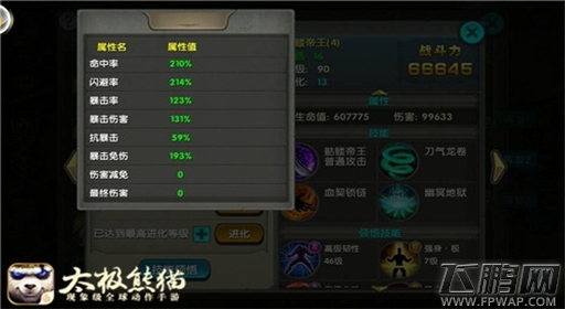 领略太极魅力《太极熊猫》飞鸟游鱼公会专访 (6)