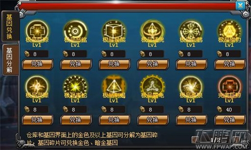 核金弹头