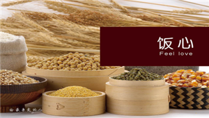 游戏团队跨界做安全食品 饭心获千万级A轮融资