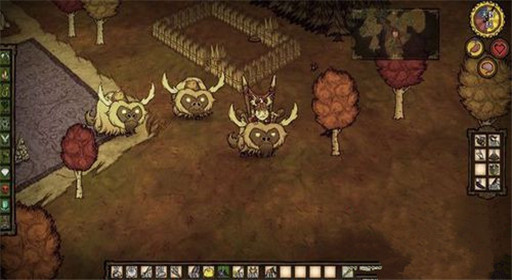 饥荒战斗型牛驯化技巧 (1)