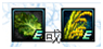 blob.png