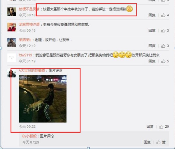 年底电竞大案件 虎牙直播“气管炎”骚男地咚了狗 (3)