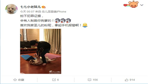 年底电竞大案件 虎牙直播“气管炎”骚男地咚了狗