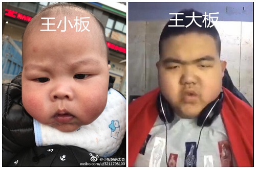 虎牙直播板娘晒儿子萌照  军师已经看到小板的未来 (3)