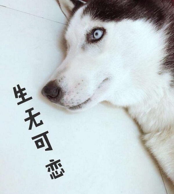 王者荣耀主播立flag要谨慎 虎牙曹操尴尬强行输出“第一” (1)