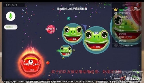 球球大作战绝地反击 虎牙直播疯子淡定指挥一波反杀 (1)