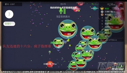 球球大作战绝地反击 虎牙直播疯子淡定指挥一波反杀 (2)