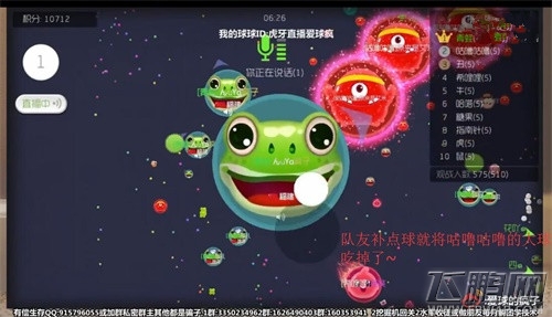 球球大作战绝地反击 虎牙直播疯子淡定指挥一波反杀 (4)