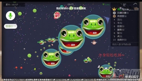 球球大作战绝地反击 虎牙直播疯子淡定指挥一波反杀 (5)