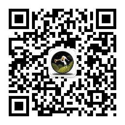 东品游戏正式确认参展2019ChinaJoyBTOC！ (5)